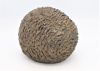barbara de clercq  schubdier opgerold  brons x12x15 cm.00 00  3 2401