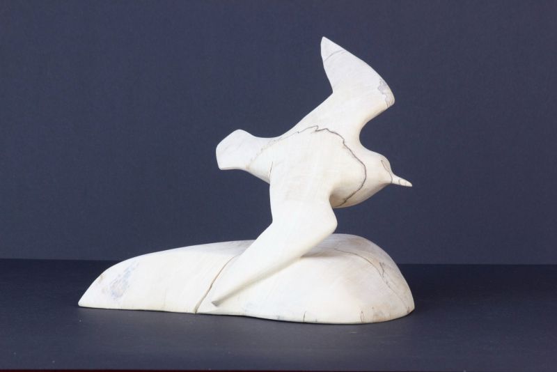  MGa Kleine Strandloper   berk   16x19x18       550   5255